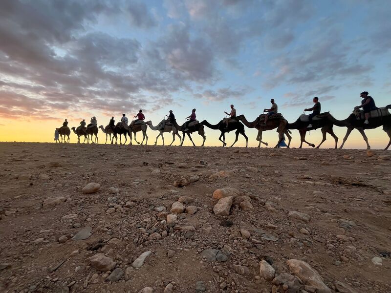 Camel train in the desert at sunset